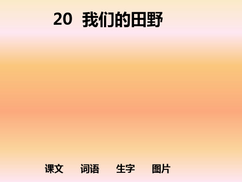 人教版小学二年级语文我们的田野