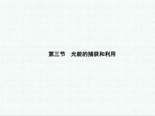 高中生物课件-中图版高中生物必修1第三节《光能的捕获和利用》课件 最新