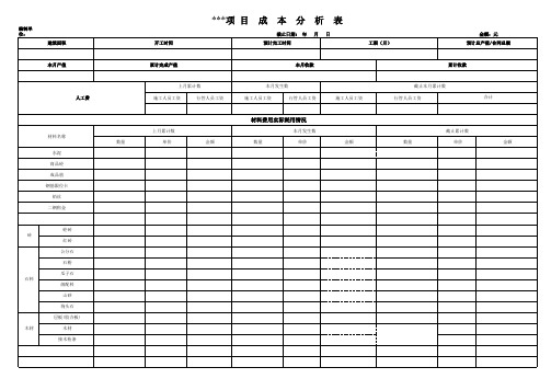 项目成本分析表 