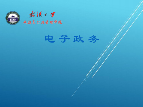 【武汉大学 电子政务 精品讲义】第1章