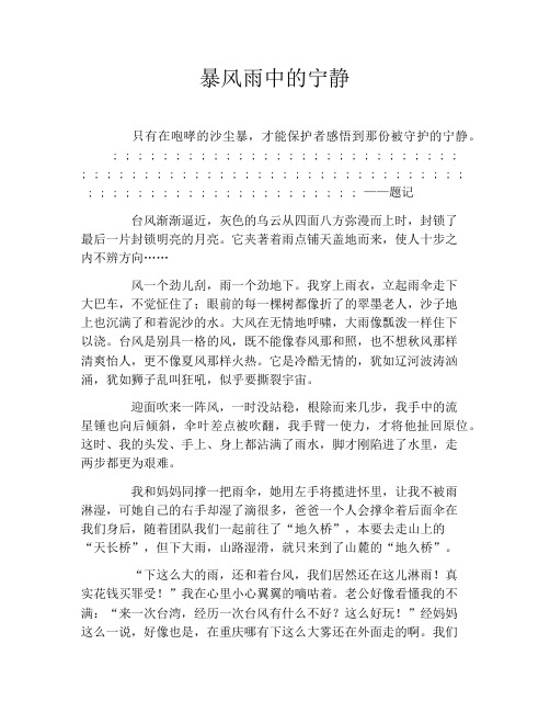 暴风雨中的宁静