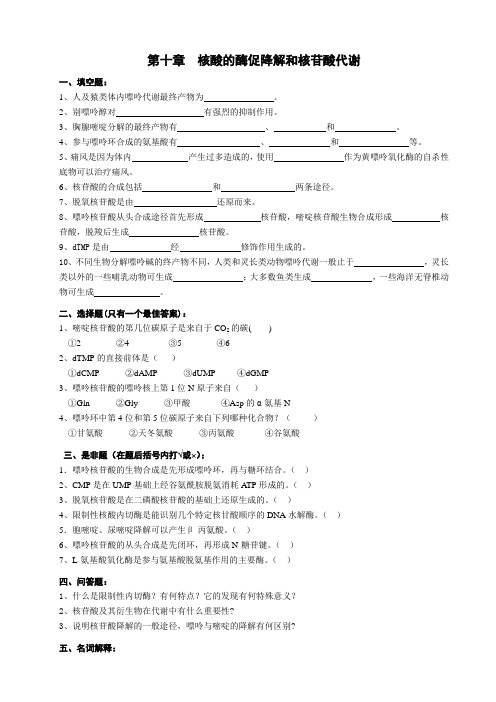 生物化学 第10章 核酸的酶促降解和核苷酸代谢