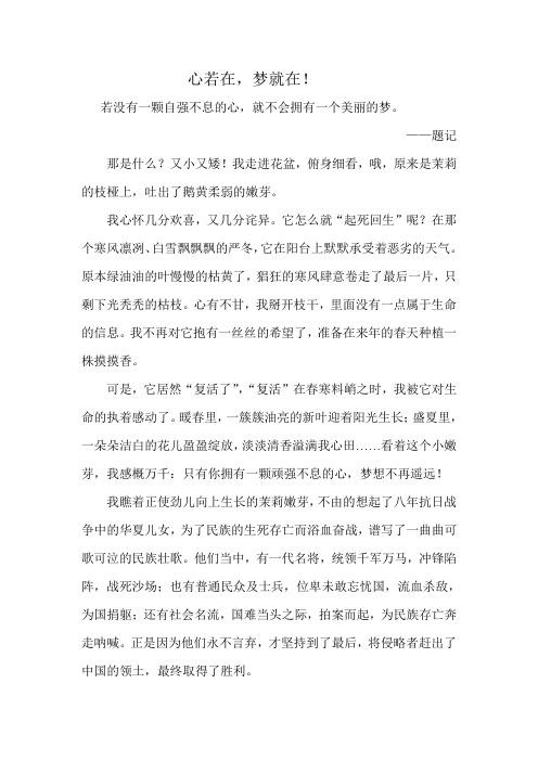 心若在,梦就在