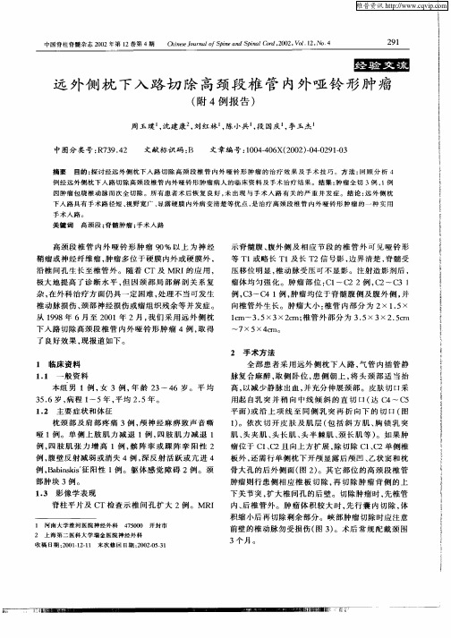 远外侧枕下入路切除高颈段椎管内外哑铃形肿瘤(附4例报告)