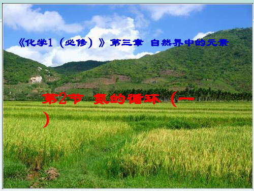 〖2021年整理〗《 氮的循环》完整版教学课件PPT