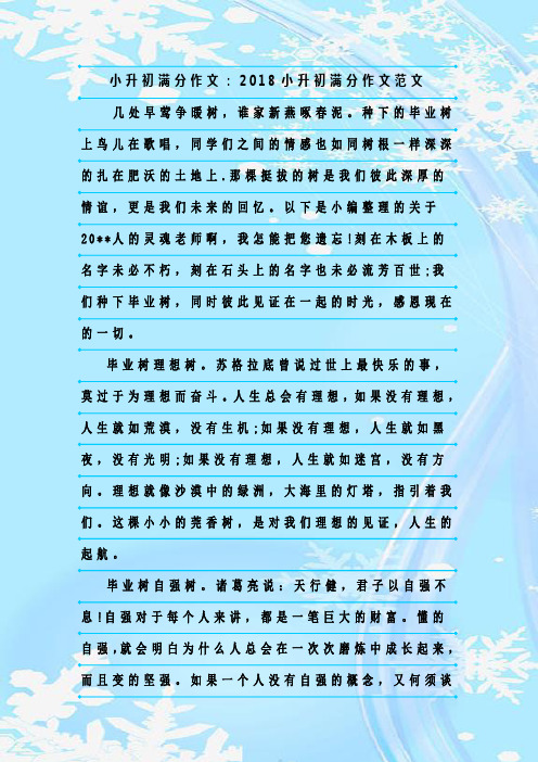 新整理小升初满分作文：2018小升初满分作文范文