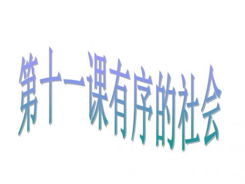 思想品德：第十一课《有序的社会》复习课件(陕教版七年级下)