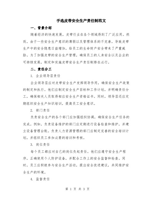 手选皮带安全生产责任制范文
