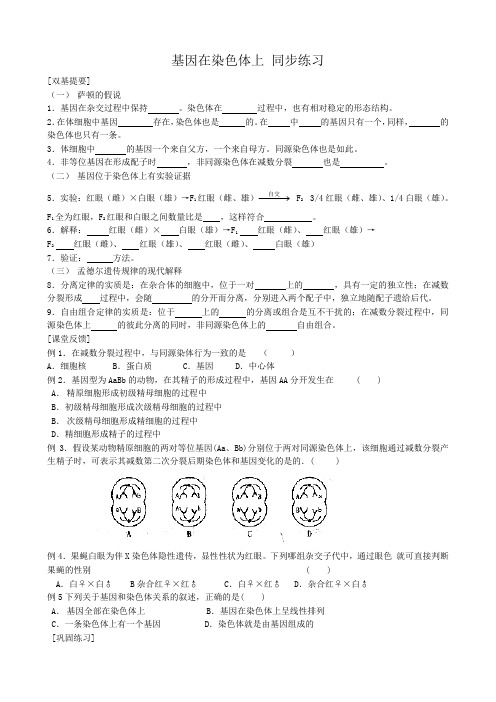 高中生物基因在染色体上 同步练习2新课标 人教版 必修2