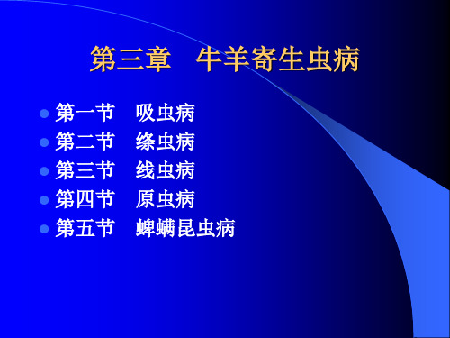 反刍动物寄生虫病