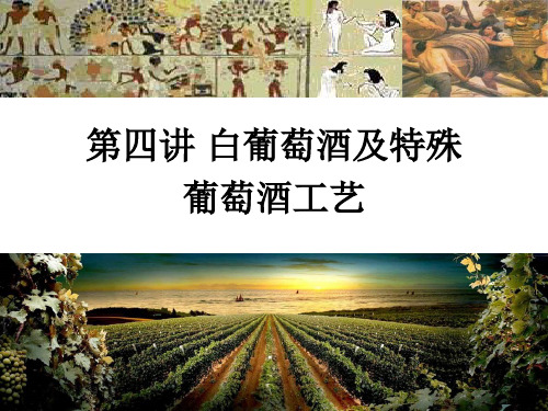 白葡萄酒及特种葡萄酒生产工艺 酿造酒工艺学(课堂PPT)