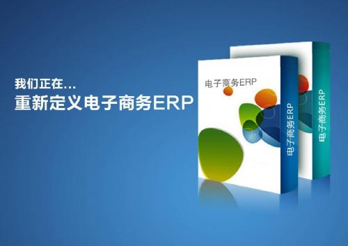 ER解决方案PPT课件
