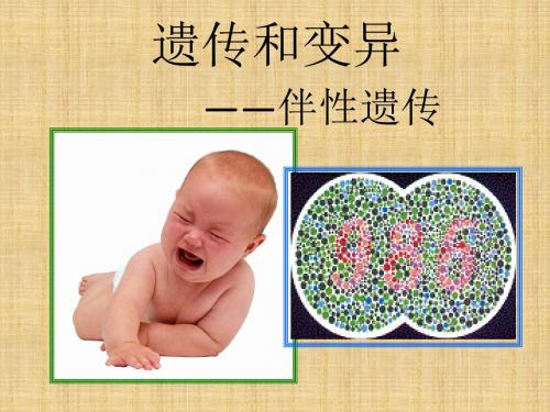 最新高中生物第三册第8章遗传与变异8.2伴性遗传名师课件2沪科版