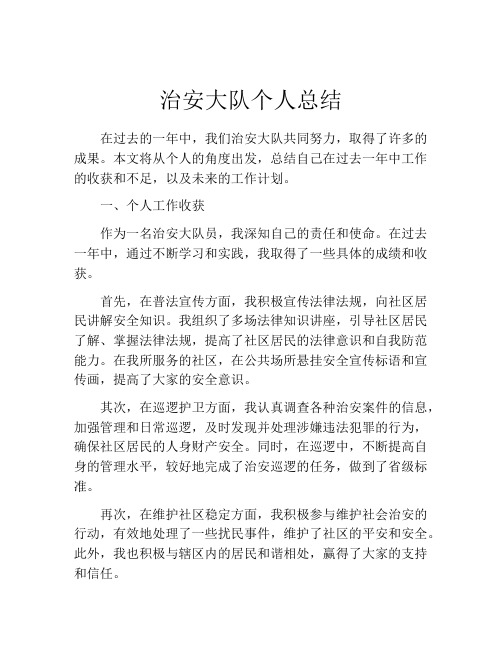 治安大队个人总结