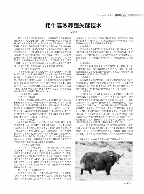 牦牛高效养殖关键技术