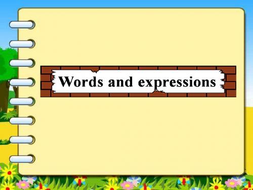 九年级英语Words and expressions
