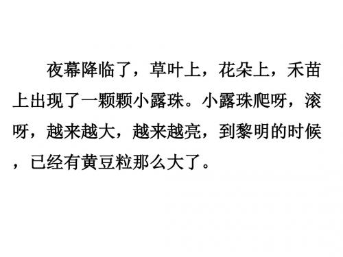 三年级语文小露珠1