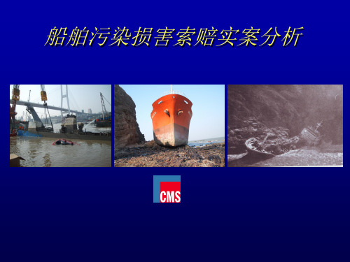 船舶污染损害索赔实案分析案例分析