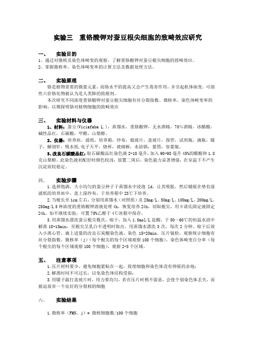 生态毒理学_4 实验四
