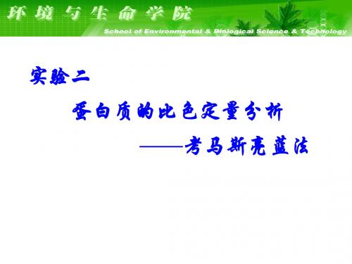 生化实验2-2010.6.30