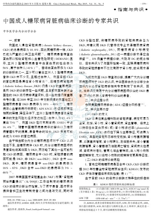中国成人糖尿病肾脏病临床诊断的专家共识