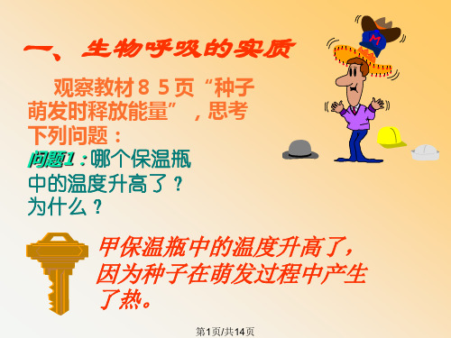 呼吸作用的实质和意义