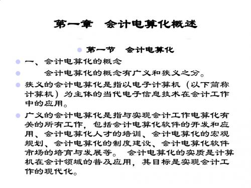 会计电算化与会计核算软件PPT(24张)