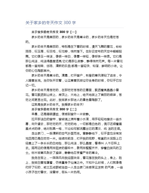 关于家乡的冬天作文300字