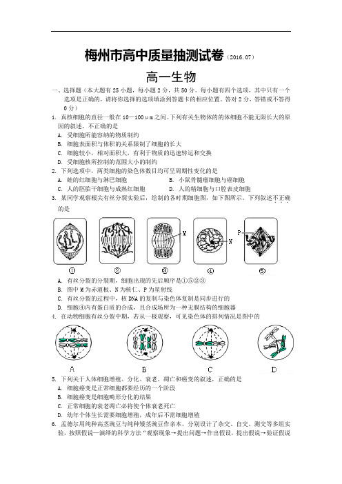 2015-2016学年广东省梅州市高一下学期高中质量抽测生物试卷(word版)