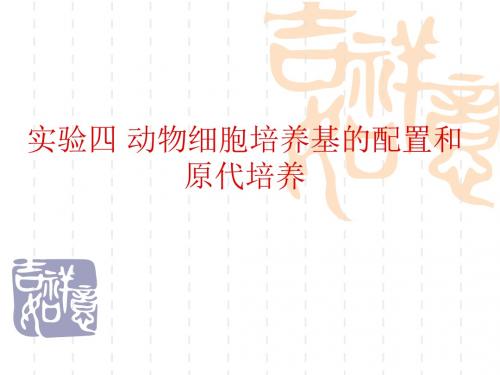 实验四：鱼类细胞培养基础知识