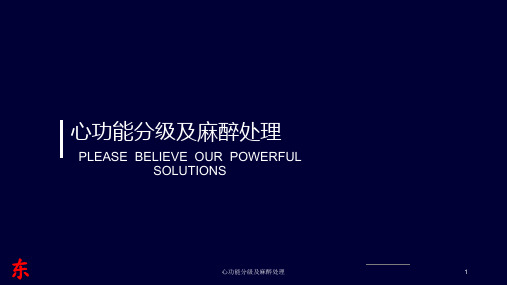 心功能分级及麻醉处理ppt课件