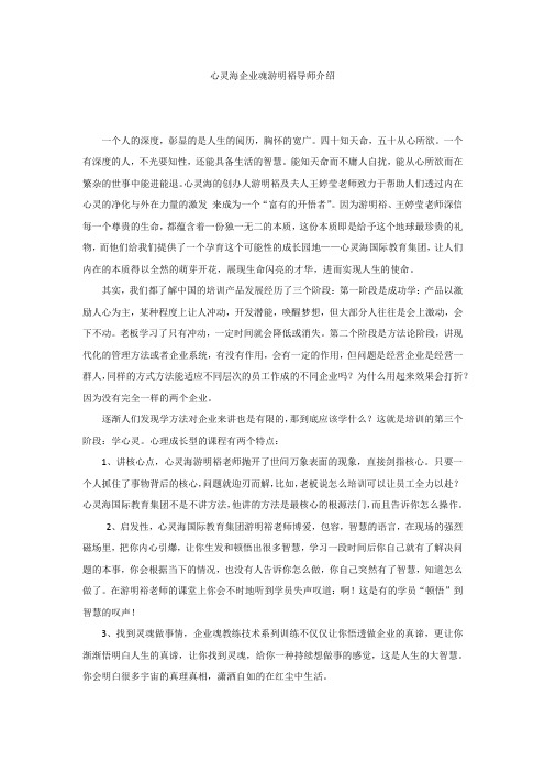 心灵海企业魂游明裕导师介绍