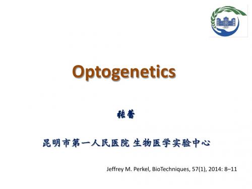 optogenetic