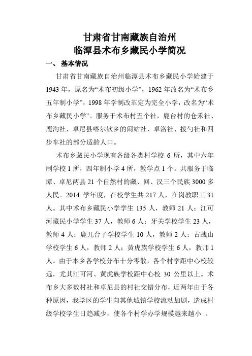 甘肃省甘南藏族自治州自治州临潭县术布乡藏民小学简介