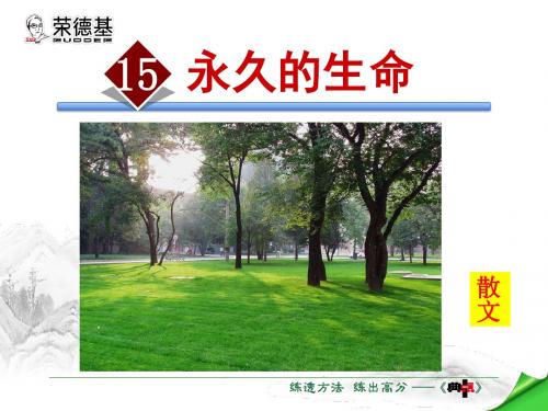 15.永久的生命