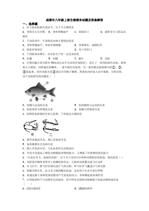 成都市八年级上册生物期末试题及答案解答