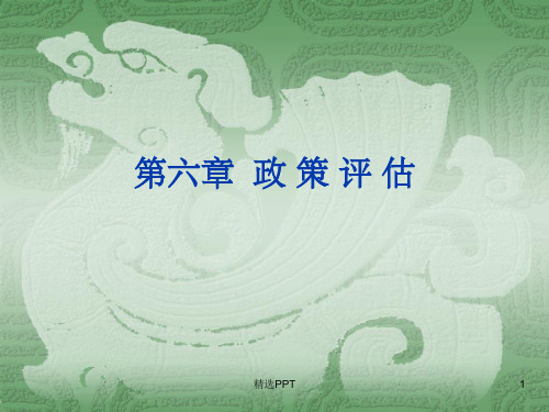 《政策评估》PPT课件 (2)