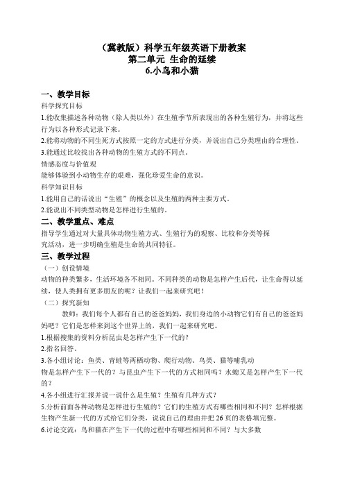 冀教小学科学五下册《6小鸟和小猫》word教案 (1)