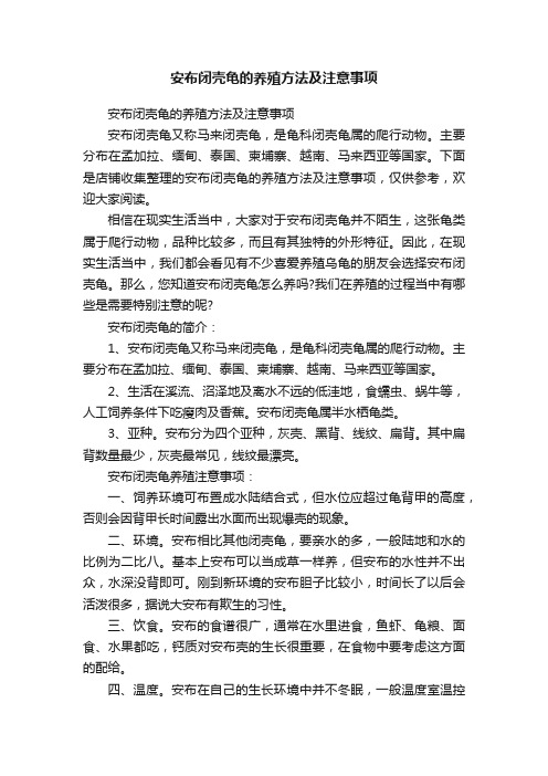 安布闭壳龟的养殖方法及注意事项