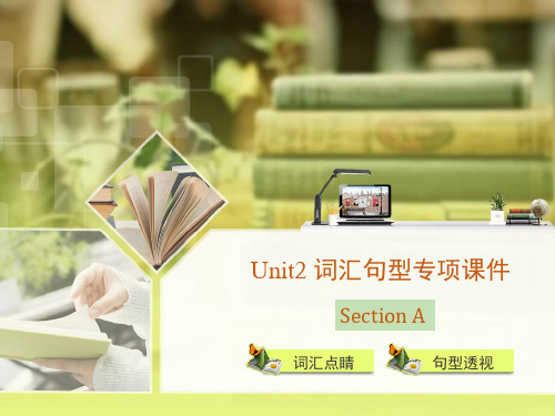 八年级上册英语Unit2SectionA词汇句型专项