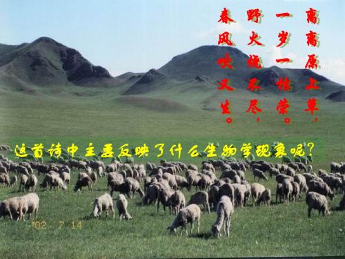 生殖种类