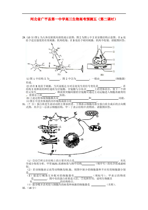河北省广平县第一中学高三生物高考预测五(第二课时)