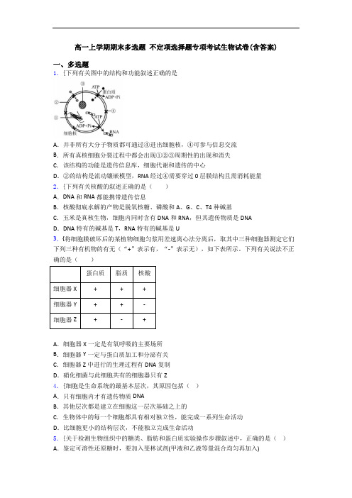 高一上学期期末多选题 不定项选择题专项考试生物试卷(含答案)