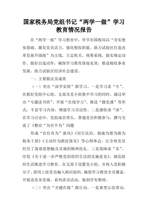国家税务局党组书记“两学一做”学习教育情况报告