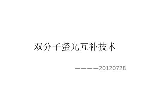 双分子荧光互补技术