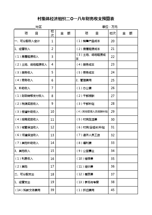 集体经济组织财务收支预算表excel模板