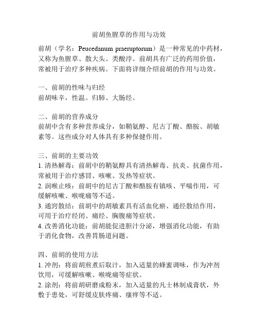 前胡鱼腥草的作用与功效
