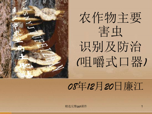 咀嚼式口器害虫