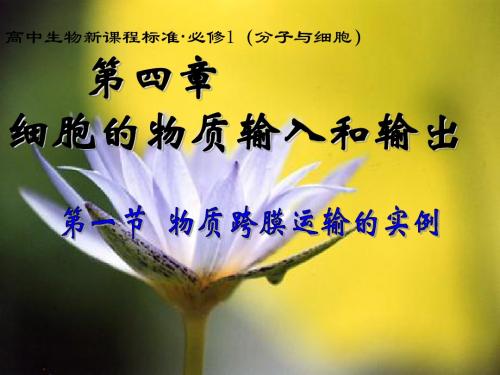 人教版高中生物必修1第四章 物质跨膜运输的实例(课件26张(共26张PPT)