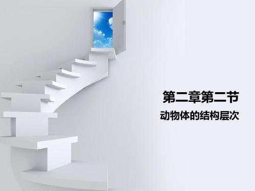第二章第二节动物体的结构层次